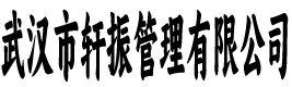 轩振管理